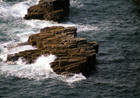 Zum vergrössern auf das Bild klicken