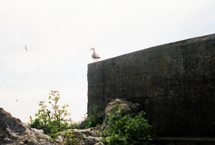 Gibraltar