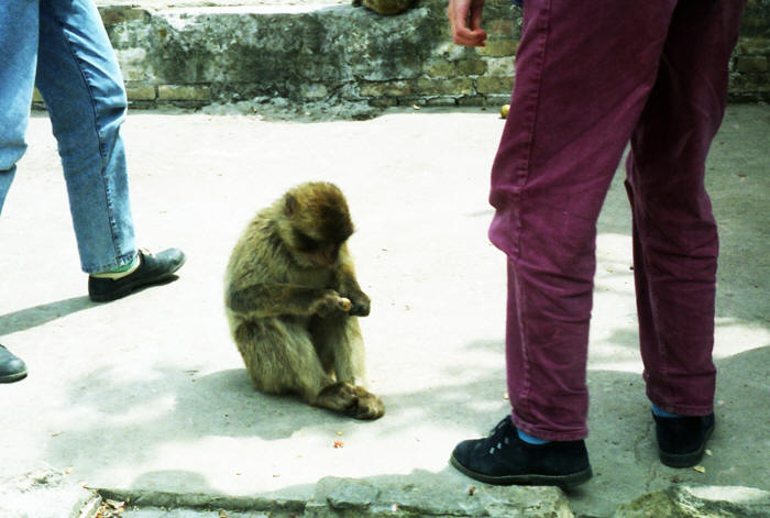 Gibraltar