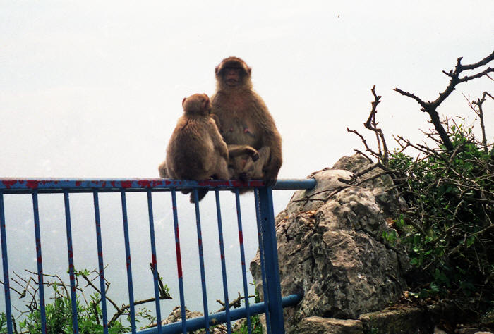 Gibraltar