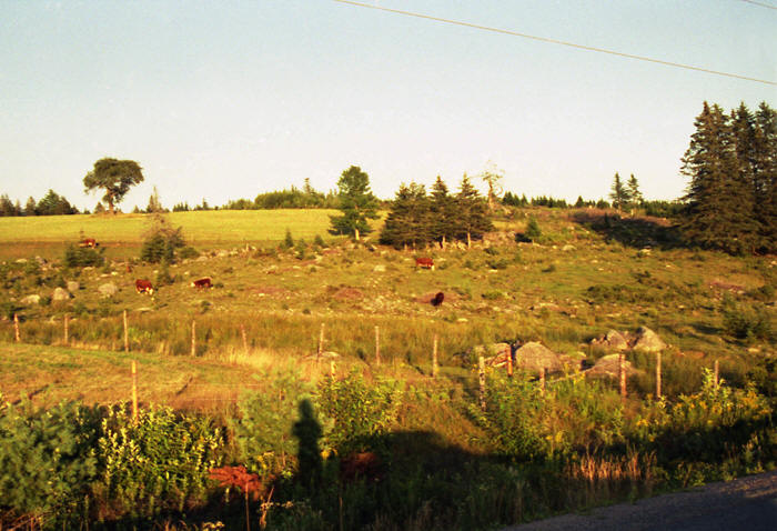 Kanada: Halifax, Nova Scotia