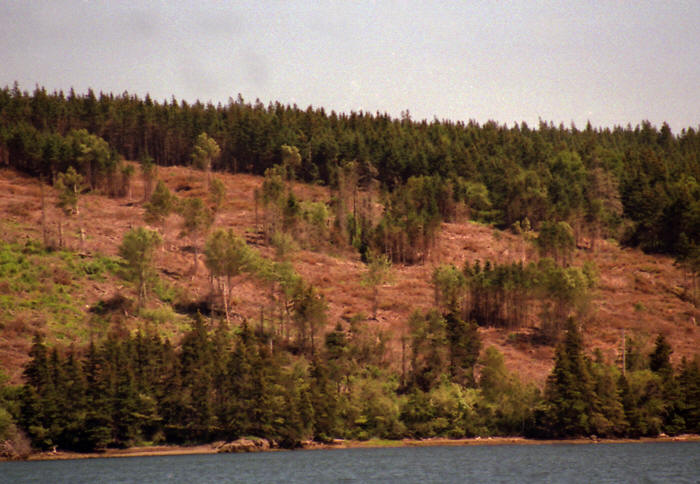 Kanada: Halifax, Nova Scotia
