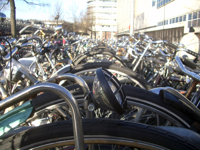 Amsterdam, Rotterdam, Den Haag, Den Helder, Texel, De Koog