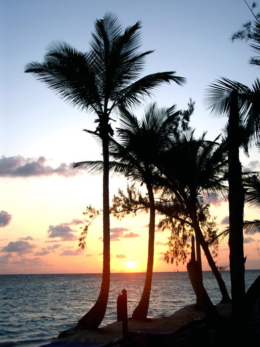 Punta Cana