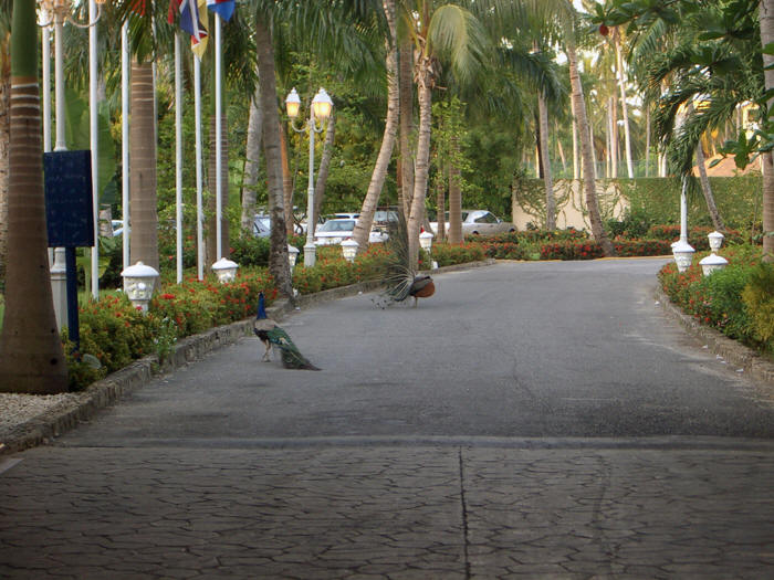 Punta Cana