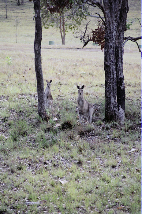 Australien: Higlands