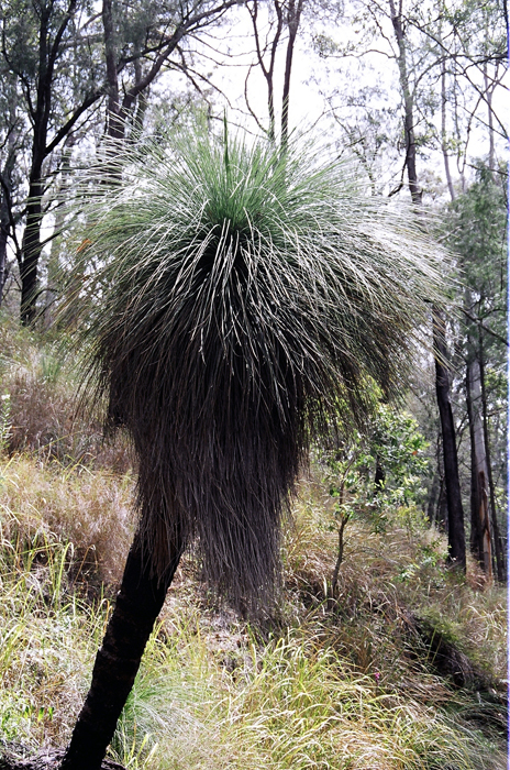 Australien: Higlands
