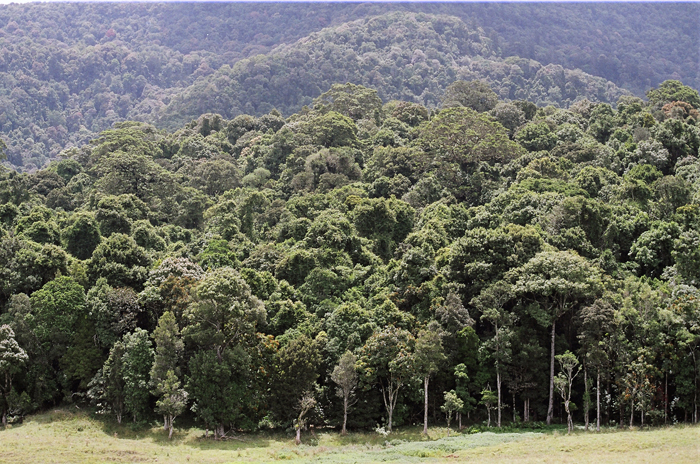 Australien: Higlands