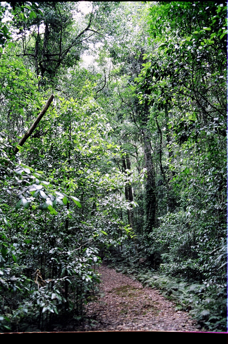 Australien: Higlands