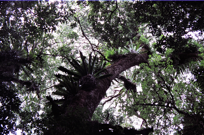 Australien: Higlands