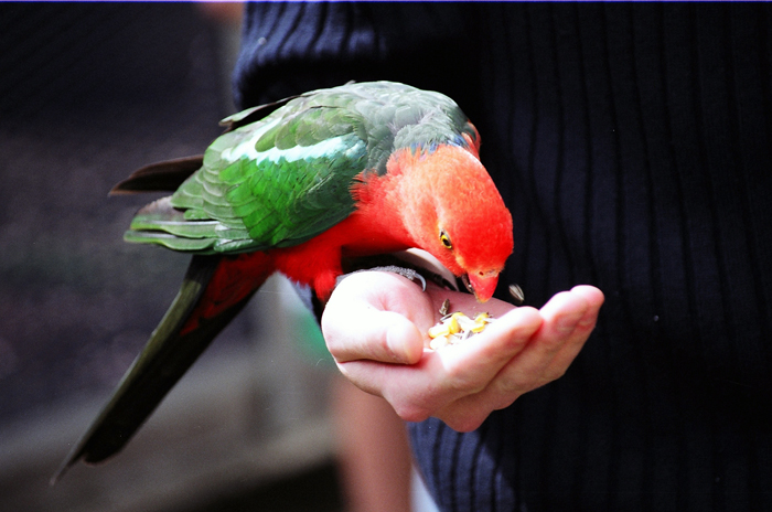Australien: Higlands