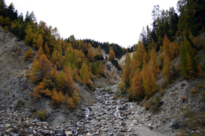 Schweiz: Tusis