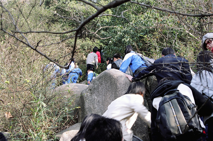 China: Timping