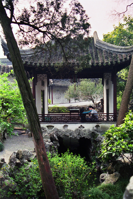 China: Suzhou Gärten: Lionwood 2006 - 2007