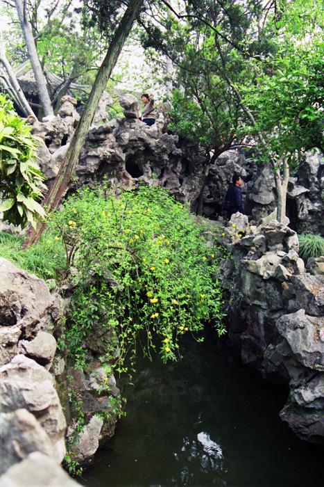 China: Suzhou Gärten: Lionwood 2006 - 2007