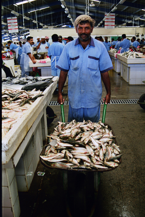 Vereinigte Arabische Emiraten: Dubai 2007