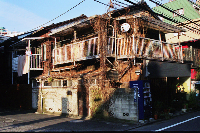 Japan: Ikebukero, Shibuja  und Roppongi 2007
