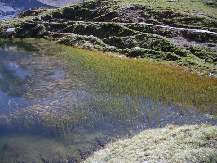 Schweiz: Wallis, Lötschtal
