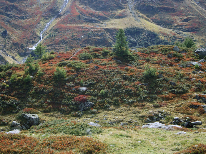 Schweiz: Wallis, Lötschtal
