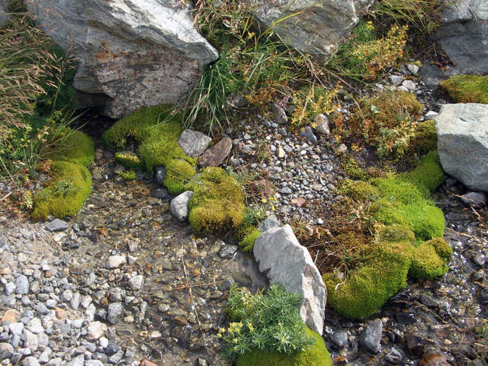 Schweiz: Wallis, Lötschtal
