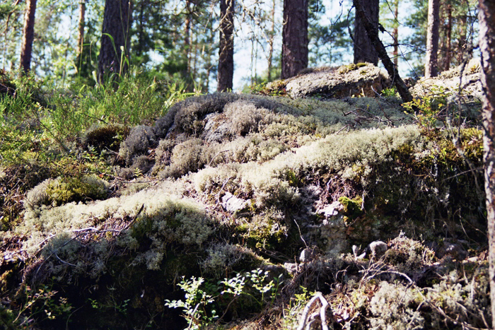 Finnland: Helsinki 2008
