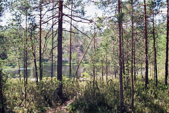 Finnland: Helsinki 2008
