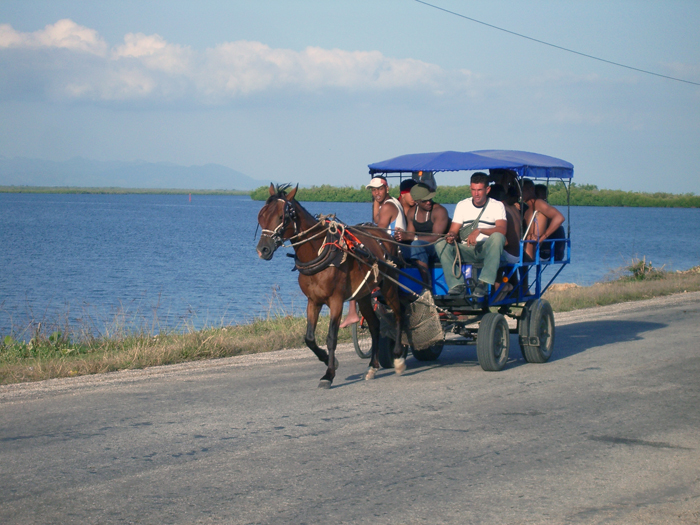 Kuba: Cuba Cars 2008