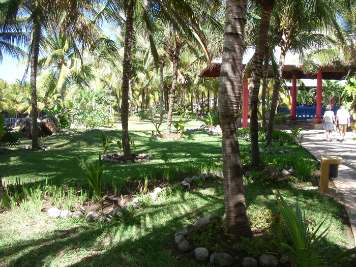 Kuba: Varadero 2008