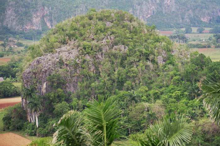 Kuba: Vinales 2008