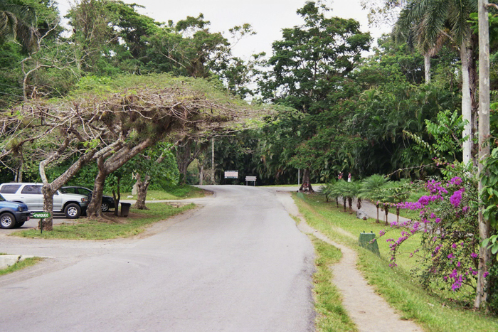 Kuba: Vinales 2008
