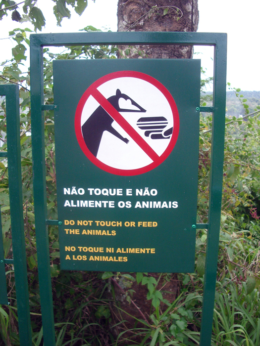 Brasilien: Iguazu 2009
