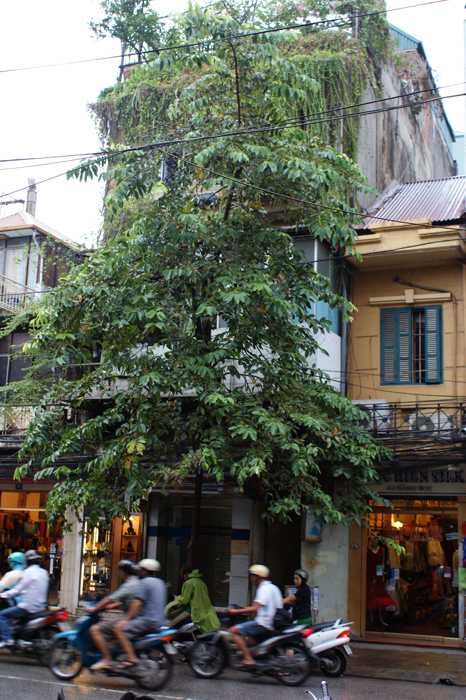Vietnam: Hanoi 2009

