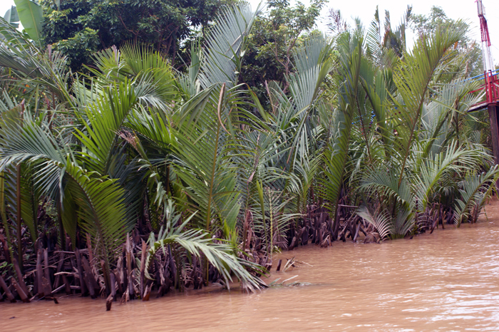 Vietnam: Mekong Delta 2009