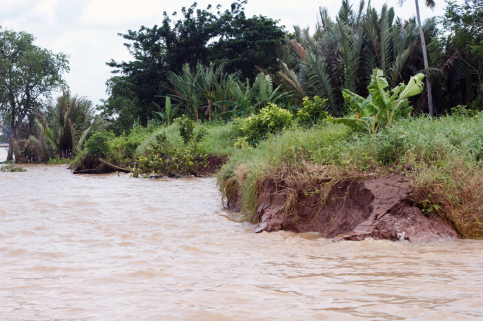 Vietnam: Mekong Delta 2009