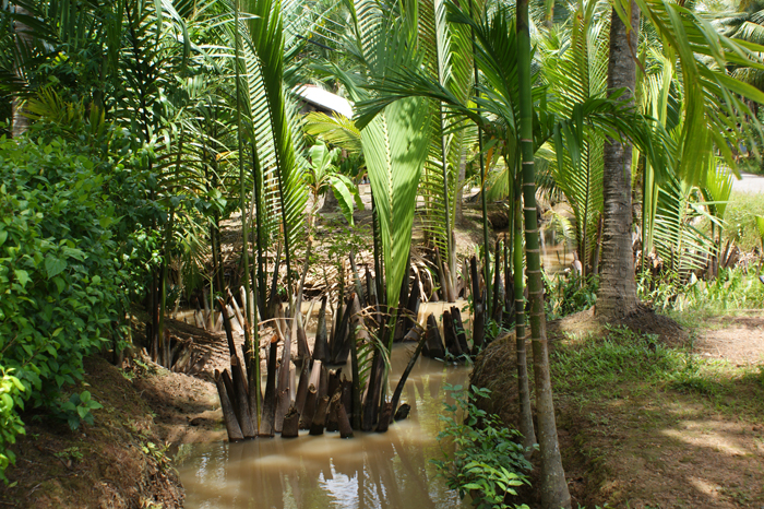Vietnam: Mekong Delta 2009