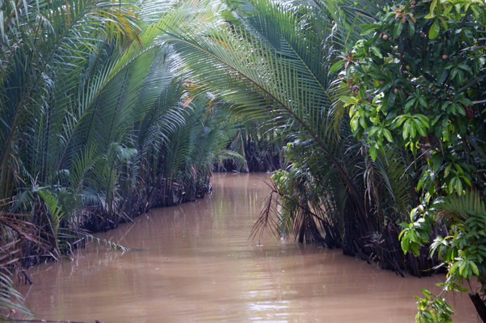 Vietnam: Mekong Delta 2009