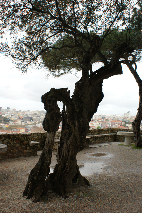 Portugal: Lissabon 2010