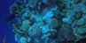 Marsa Alam