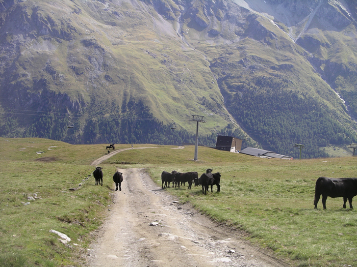 Schweiz: Wallis 2010