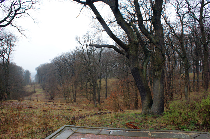 Deutschland: Pücklerpark Babelsberg 2010 - 2011
