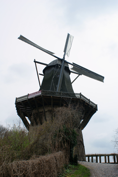 Deutschland: Pücklerpark Babelsberg 2010 - 2011
