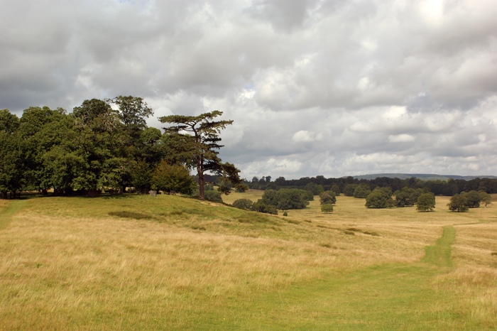 England: Engl. Landschaftsgarten, Petworth 2012