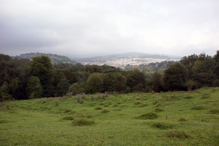 England: Engl. Landschaftsgarten, Priorpark 2012