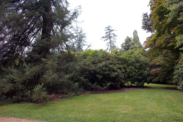 England: Engl. Landschaftsgarten, Sheffield 2012