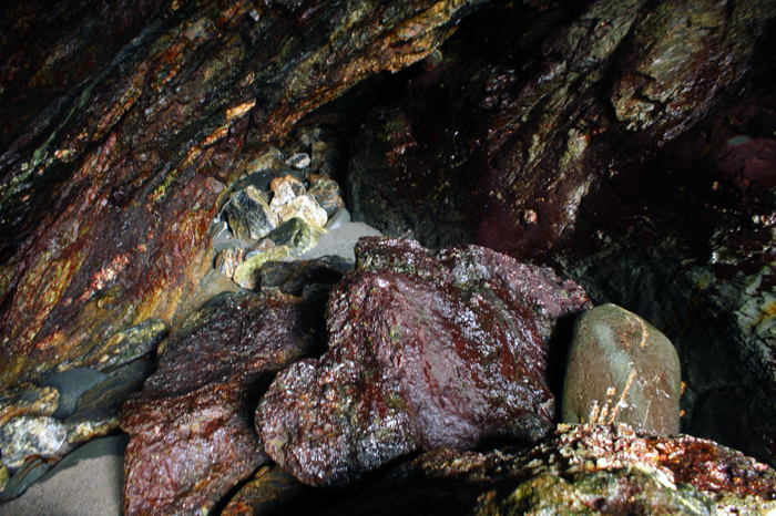England: Tintagel 2012
