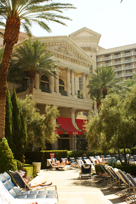 USA: Las Vegas 2013