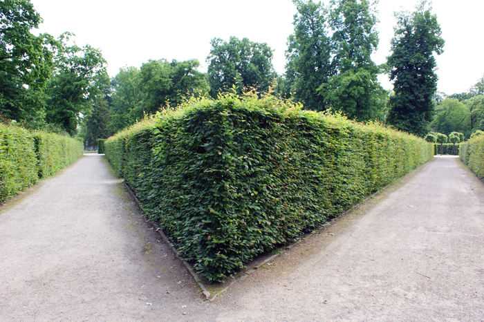 Deutschland: Park Sanssouci 2013
