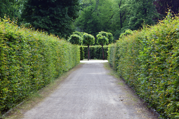 Deutschland: Park Sanssouci 2013
