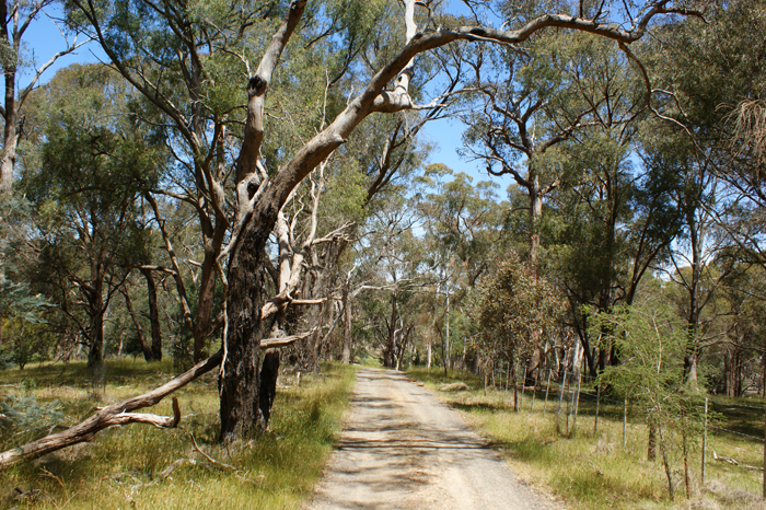 Australien: Die Farm 2014
