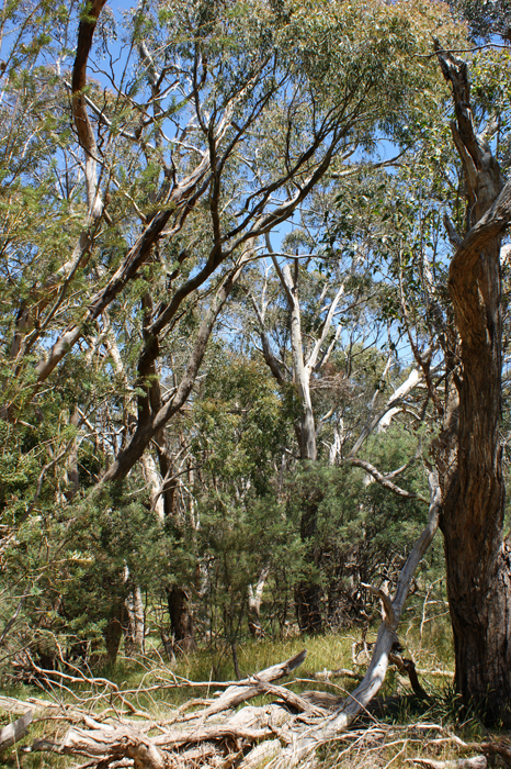 Australien: Die Farm 2014
